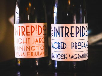 Tasting: Vino Intrepido New Releases